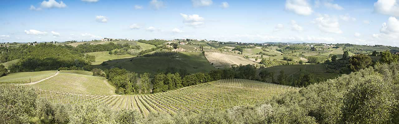 Azienda-Agricola-Casa-di-Monte-3